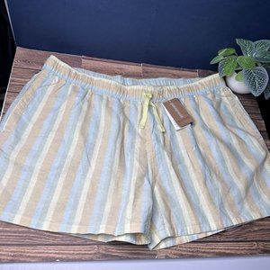 Patagonia Striped Pastel Blue and Tan Women's Shorts